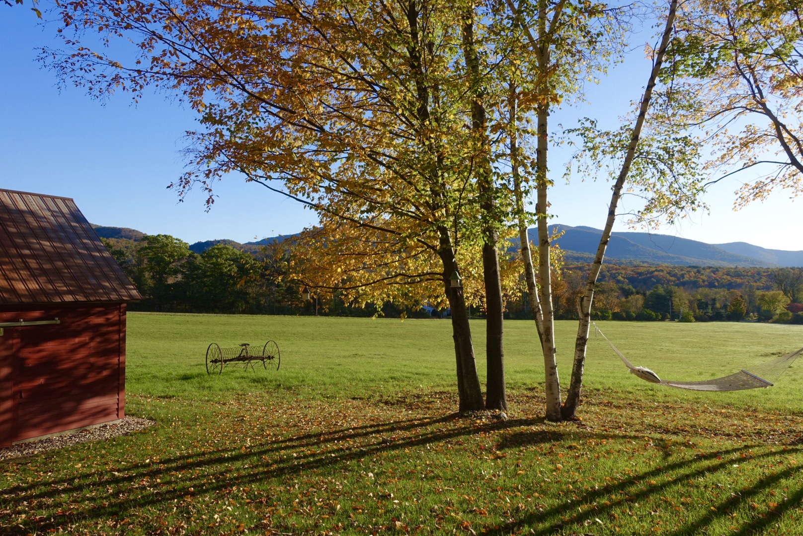 Leaf Season in Vermont